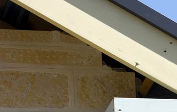 soffit repair Burton In Lonsdale