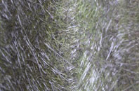 Burton In Lonsdale fibreglass roof work